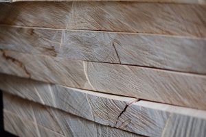 Tarcica-sucha-jesion