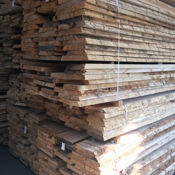 Pakiet-tarcicy-jesionowej